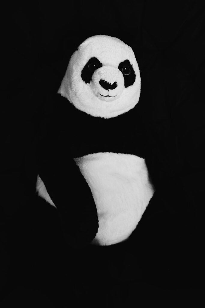 Herinneringsknuffel Panda met Eigen Tekst