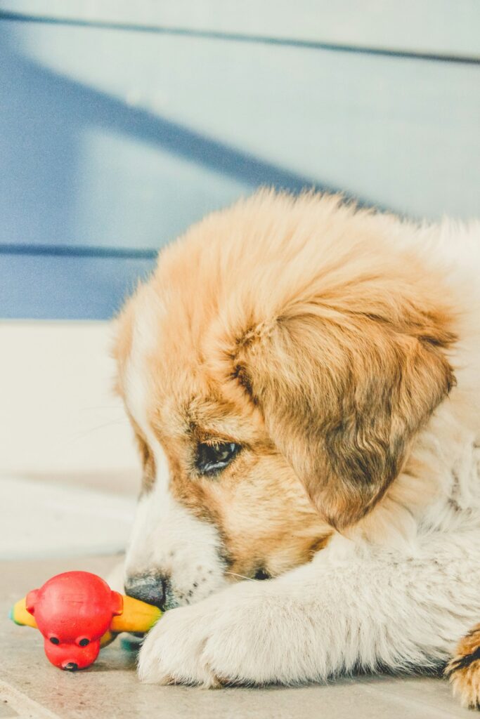 Gepersonaliseerde Hond Knuffel